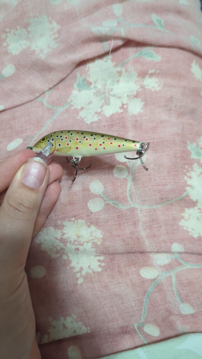Are Baitcasters Good For Trout Fishing