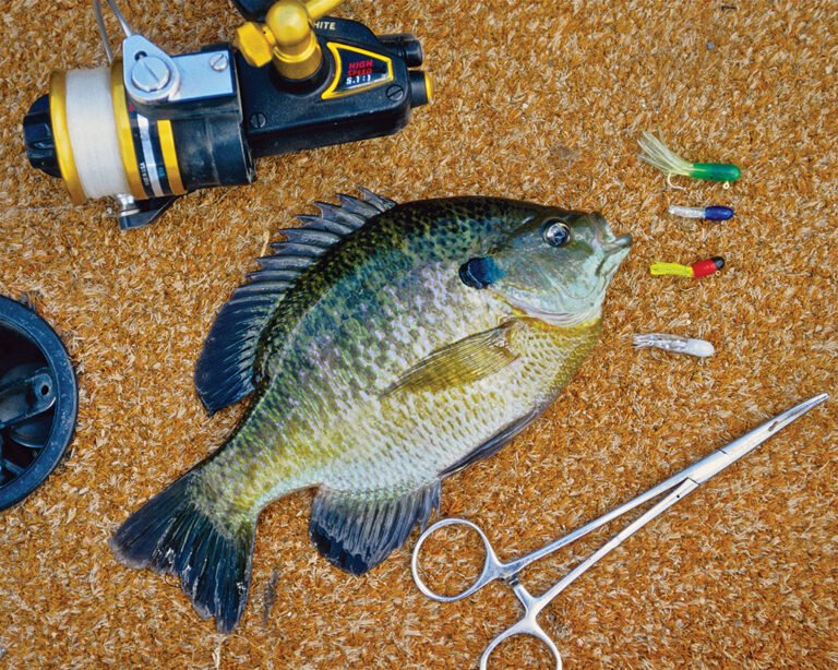 Can You Use An Ice Fishing Rod In The Summer