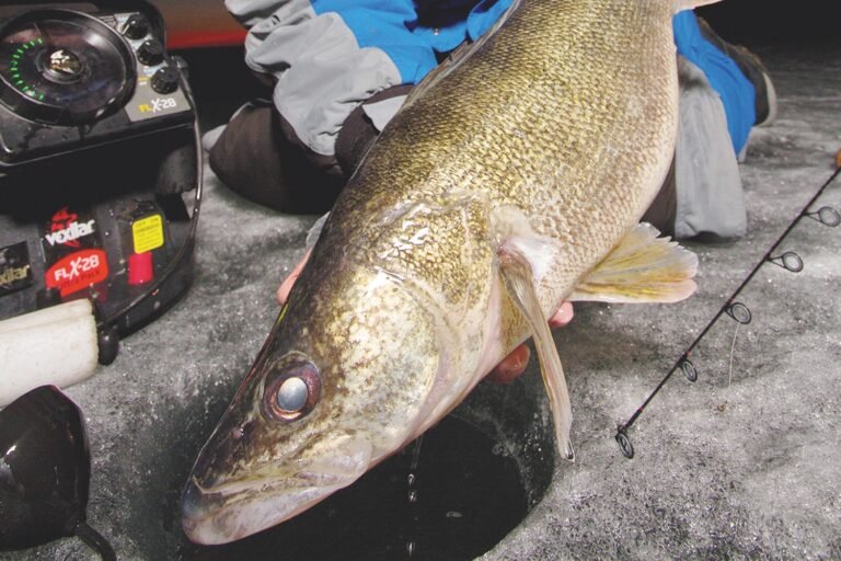 Can You Ice Fish At Night