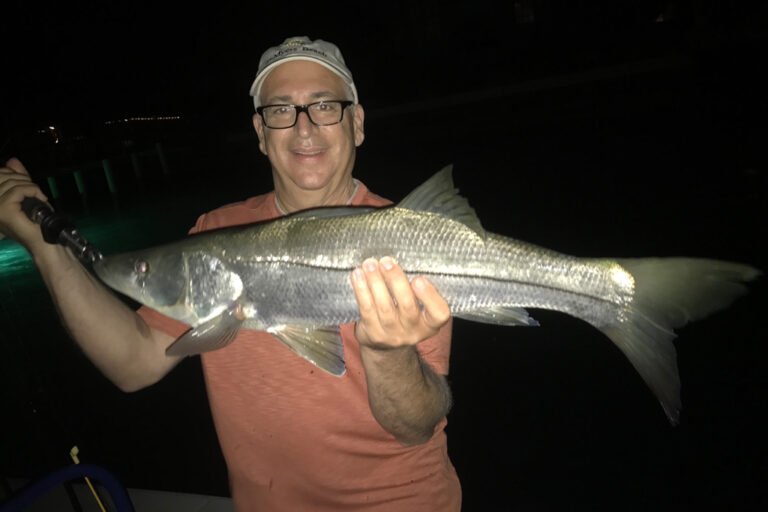 Do Fish Bite At Night In Saltwater