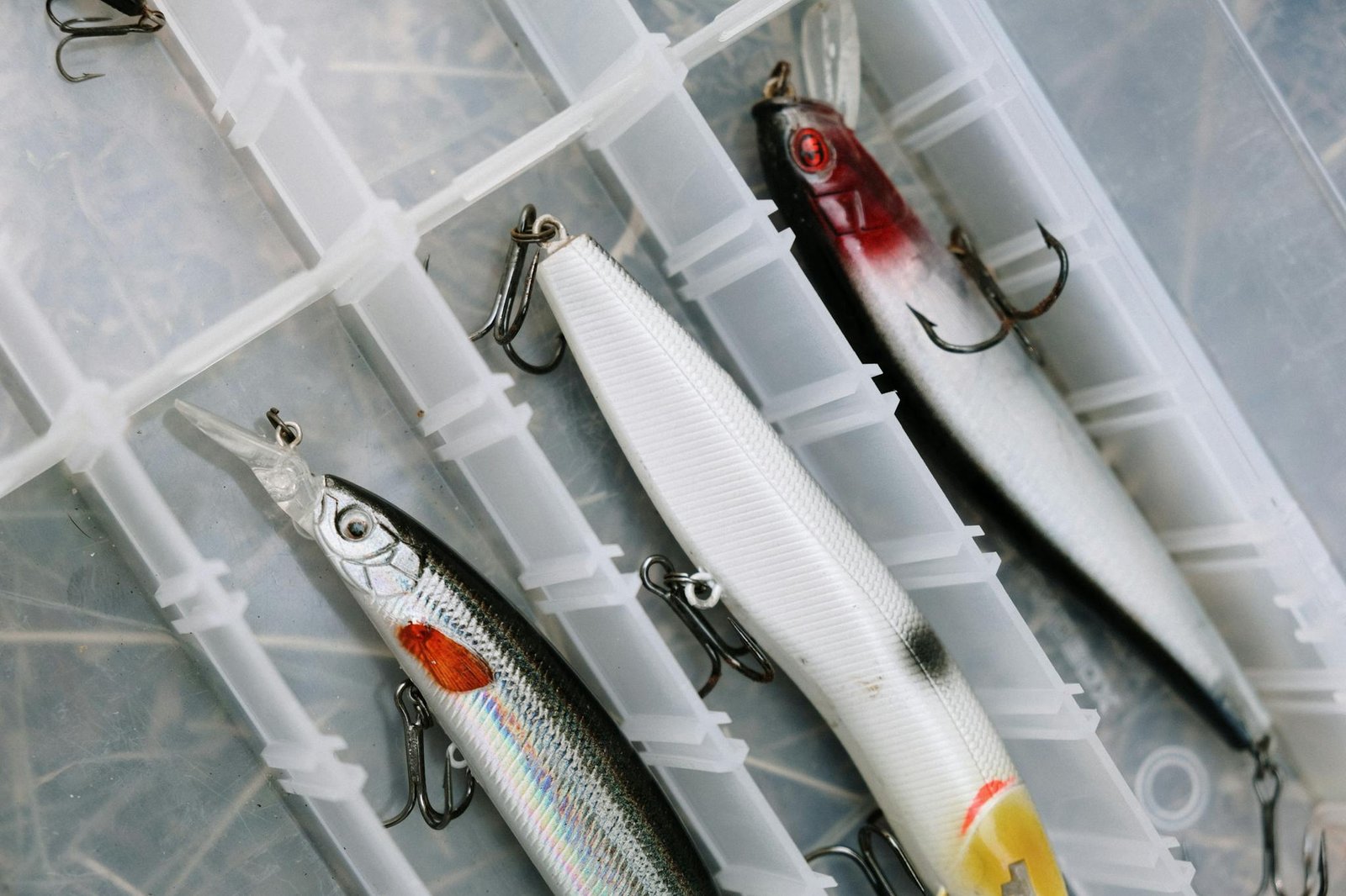 Detailed view of colorful fishing lures arranged in a tackle box, showcasing fishing gear essentials.