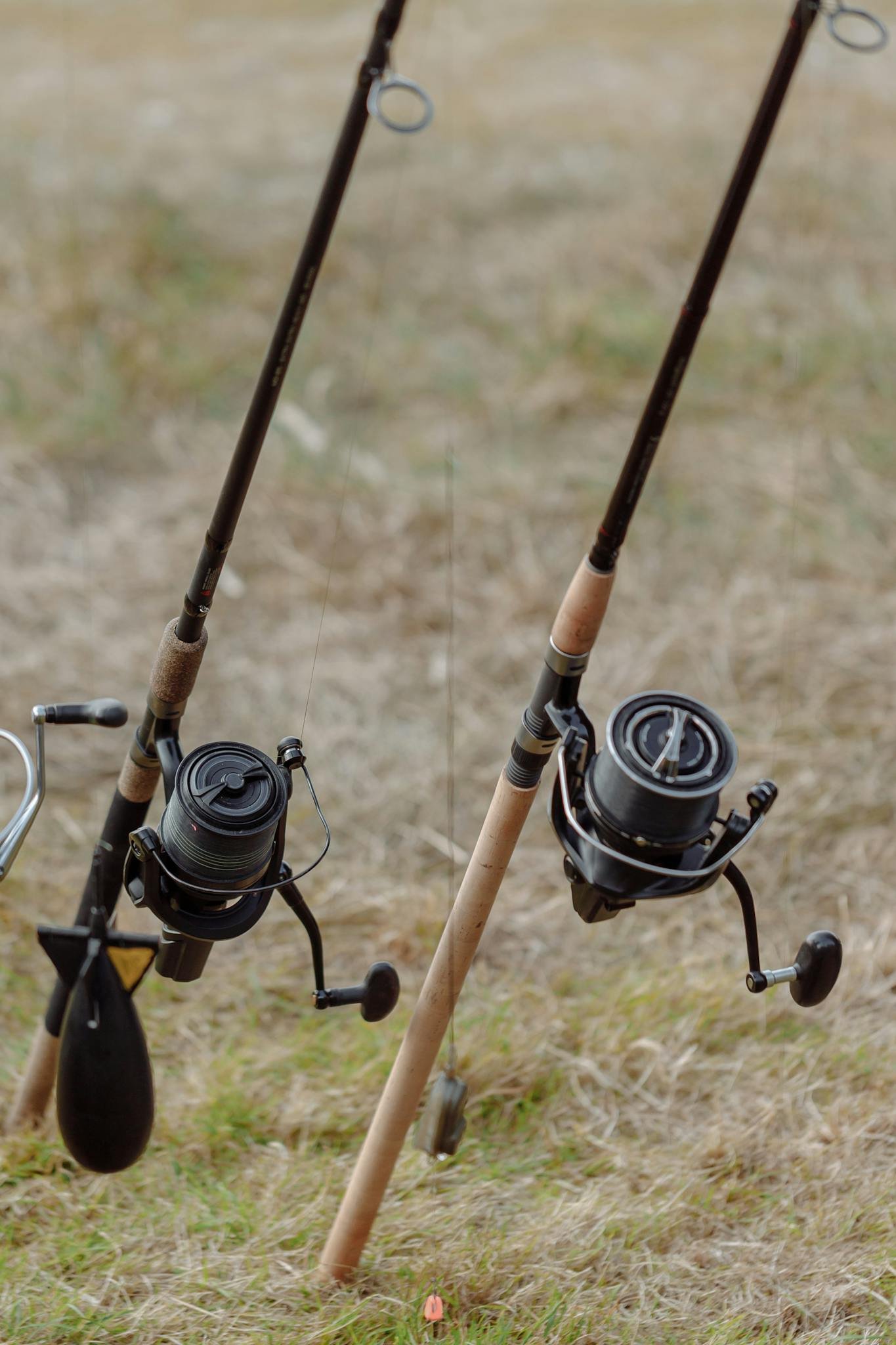 Detailed view of fishing rods with reels set up on grassy terrain, ideal for outdoor angling activities.