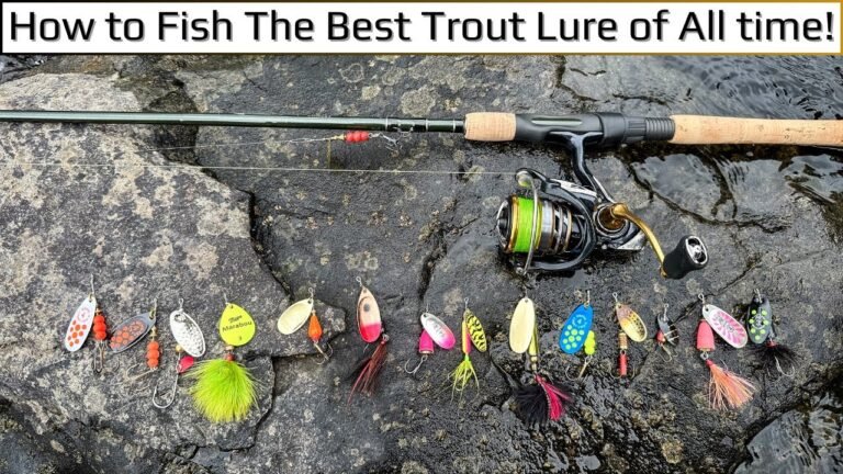 Do I Need A Weight For Trout Fishing