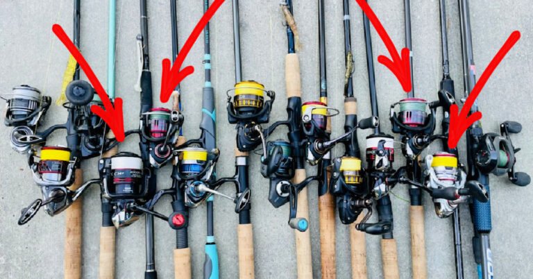 What Type Of Rod For Trout Fishing