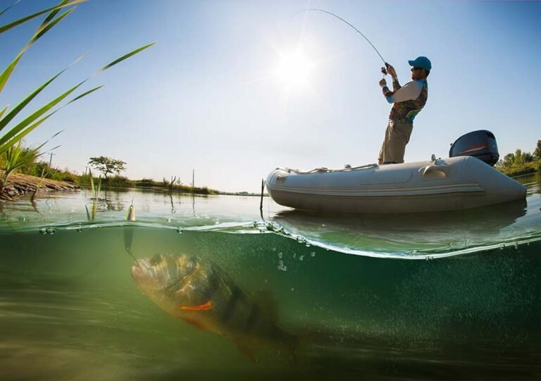 Pond Vs Lake Fishing
