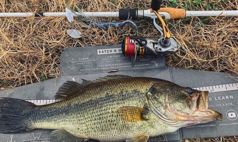 How To Fish After Rain