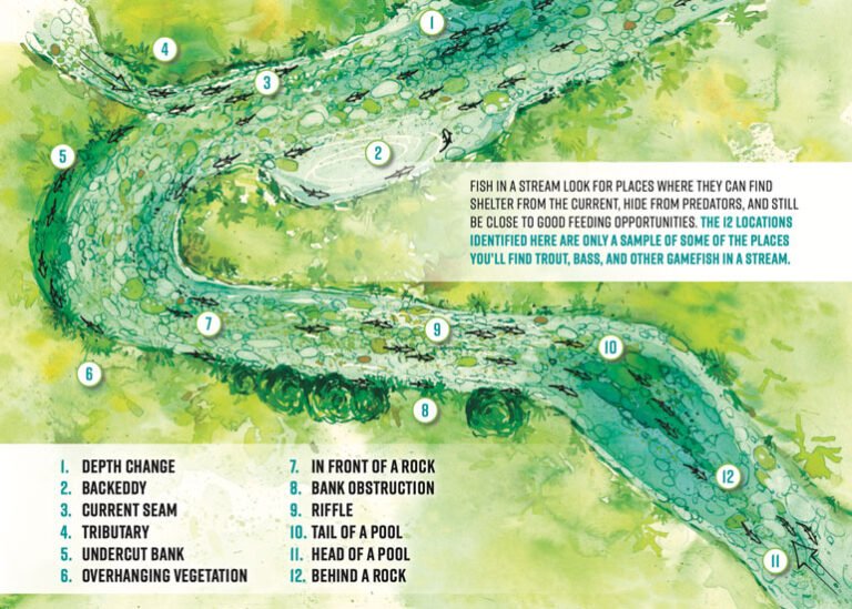 How To Read Water For Fishing