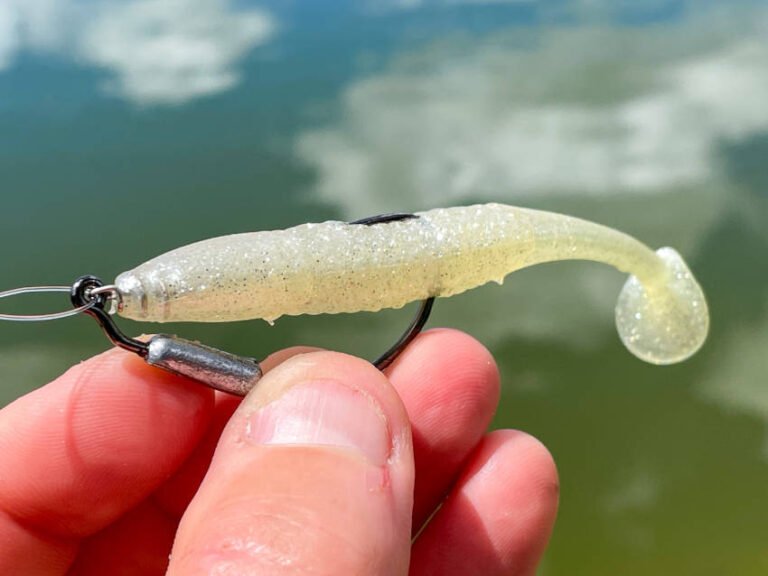 How To Fish From The Shore Effectively