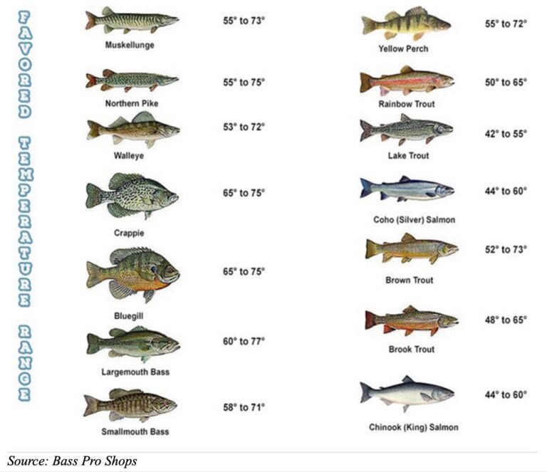 How To Fish In Hot Weather