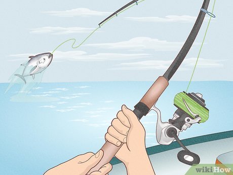 How To Use A Fishing Reel Correctly