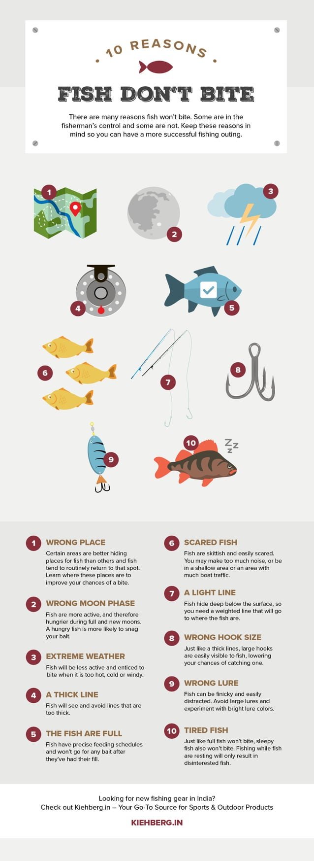 Why Do Fish Stop Biting? 15 Reasons Fish Suddenly Ignore Your Lure