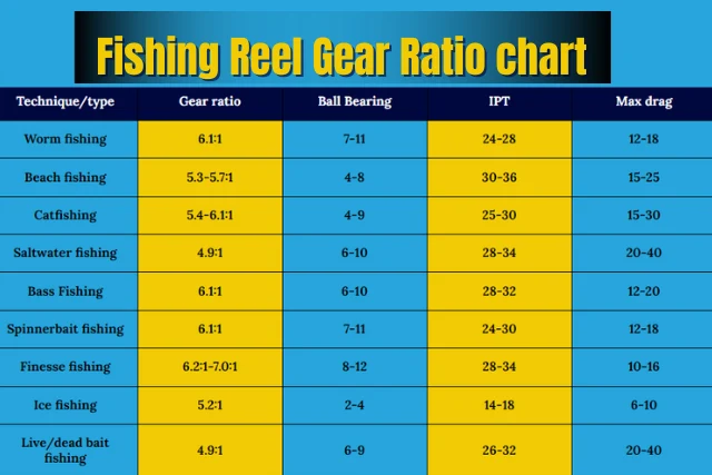 Fishing Reel Size Gear Ratio Drag and Line Management