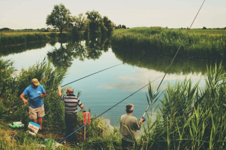 What Is Fishing and How Does It Work? A Complete Beginner's Guide