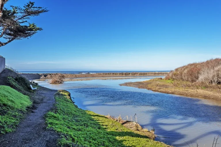 How to Find Creek Mouths for Fishing