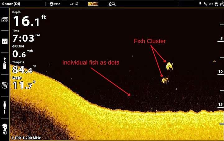 What Is Down Imaging on a Fish Finder? A Complete Guide for Anglers