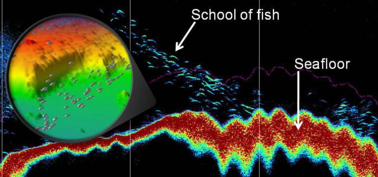 How to Identify Fish on Sonar