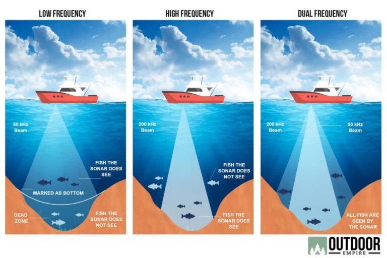 How Sonar Frequency Affects Fish Finding