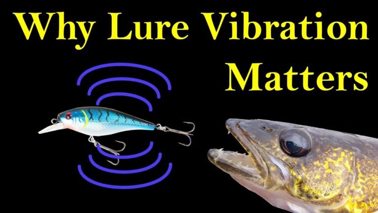 What Is Lure Vibration? A Complete Guide to How Vibrating Fishing Lures Work